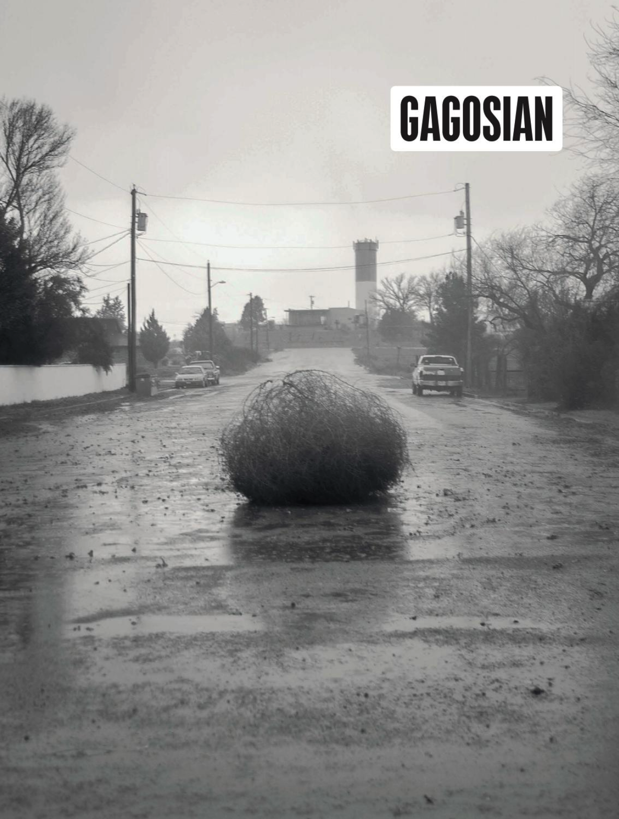 Gagosian Quarterly: RUDOLF POLANSZKY in conversation with Hans Ulrich Obrist